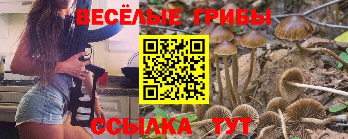 Ухта  Псилоцибиновые грибы Magic Shrooms  Вход с VPN 